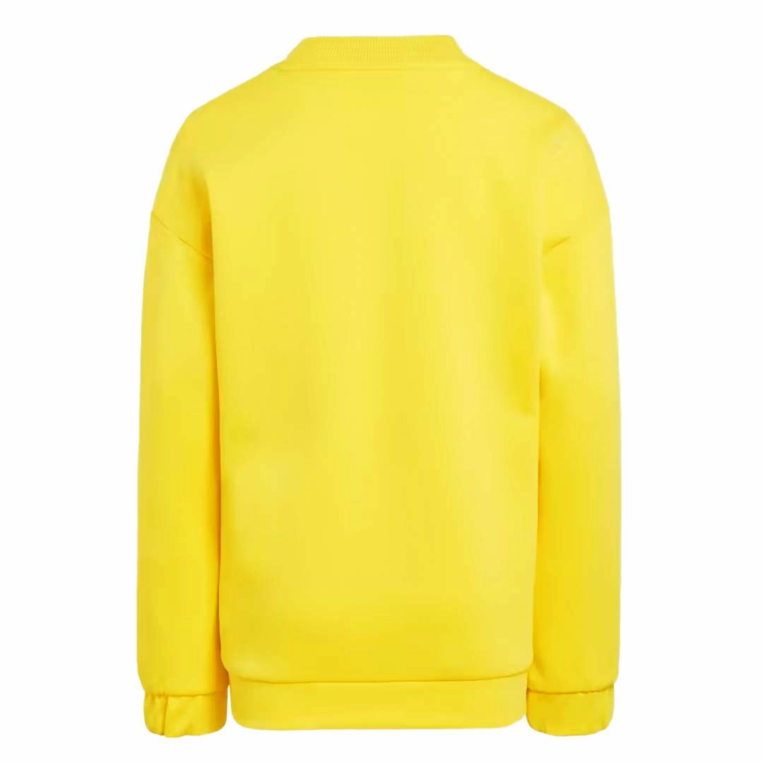 adidas - Kids' (Junior) Classic Lego Crewneck Sweatshirt (IB6176)