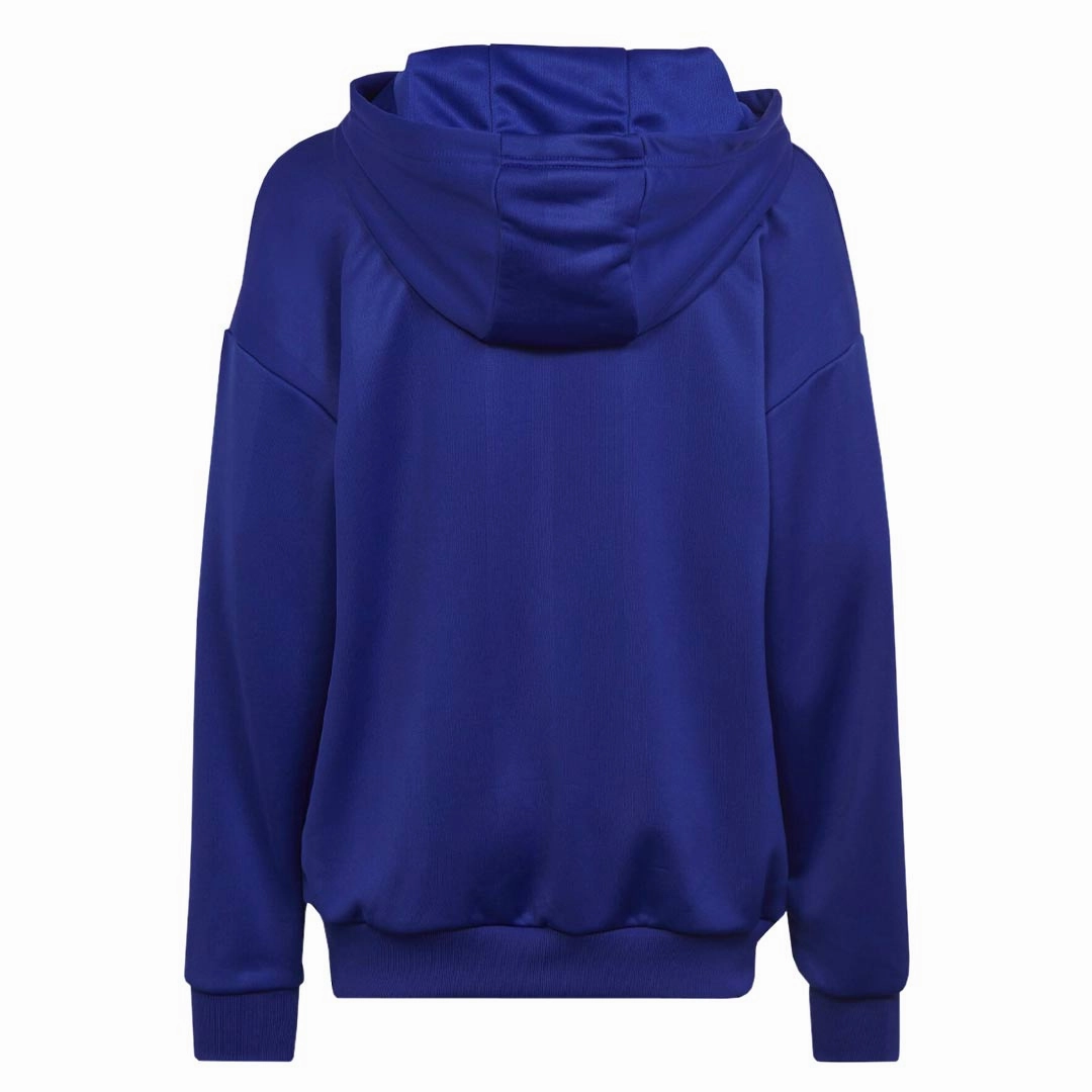 adidas - Kids' (Junior) Football Celebration Hoodie (IC9999)